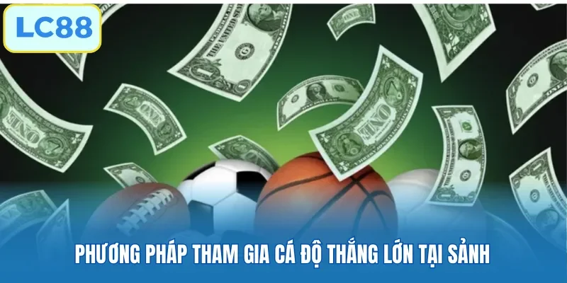 Phương pháp tham gia cá độ thắng lớn tại sảnh